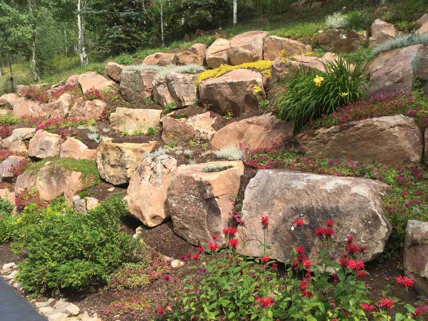 A Landscape with flowers and xeriscape parts