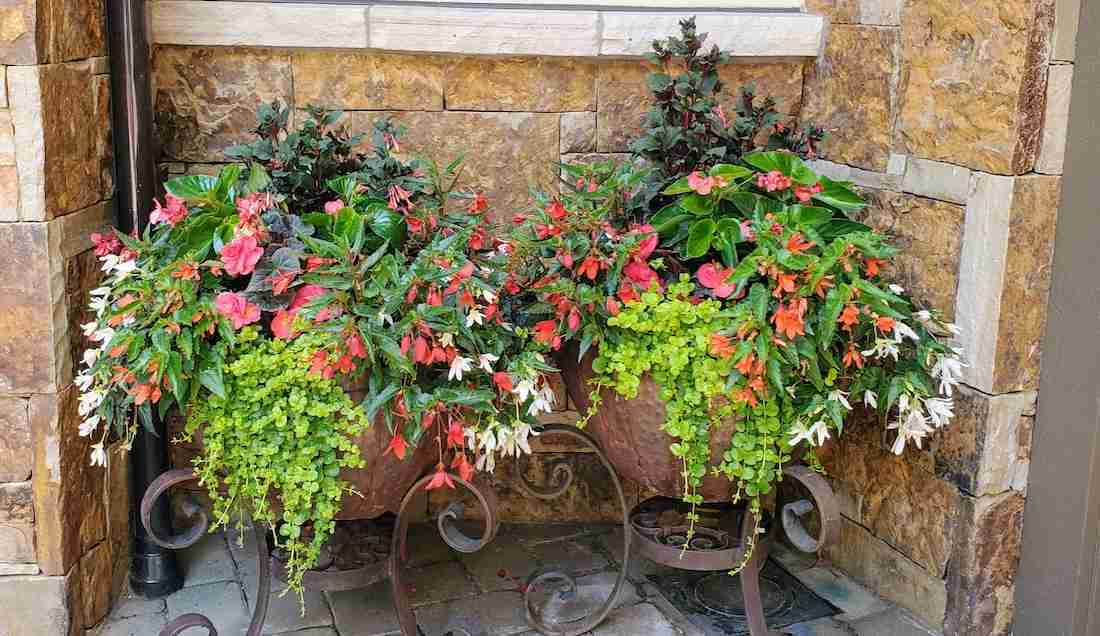 Landscape - Custom Plant Containers with pots for shade areas