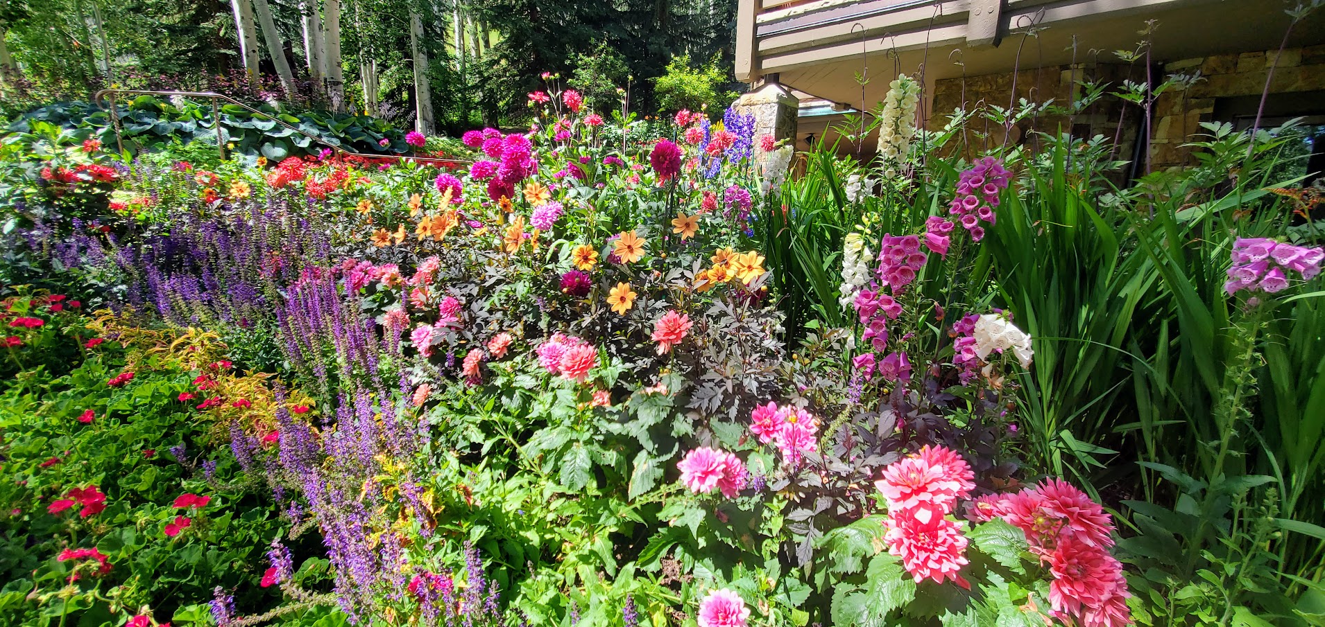 Vail Colorado Xeriscape