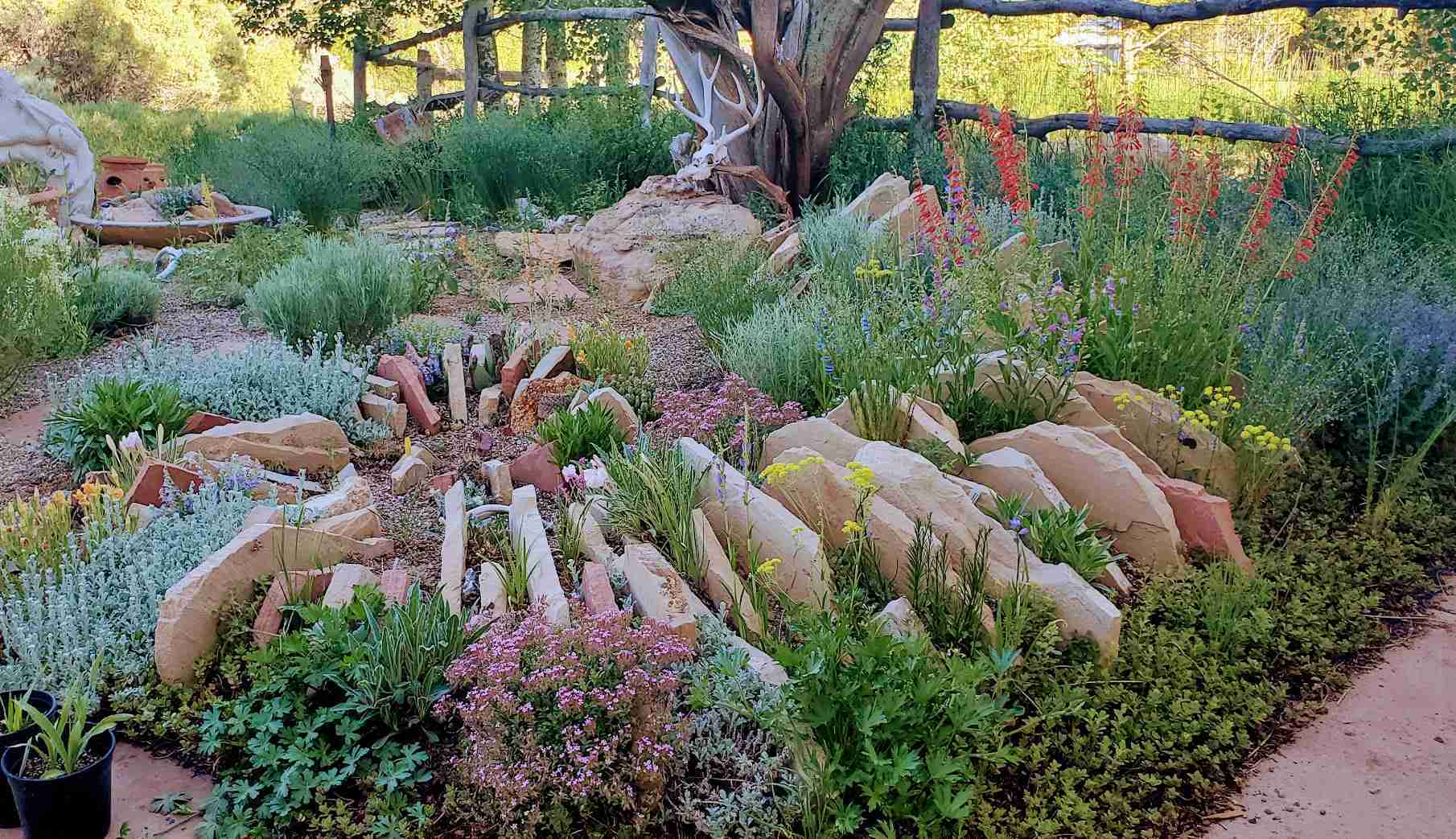 Vail Colorado Xeriscape