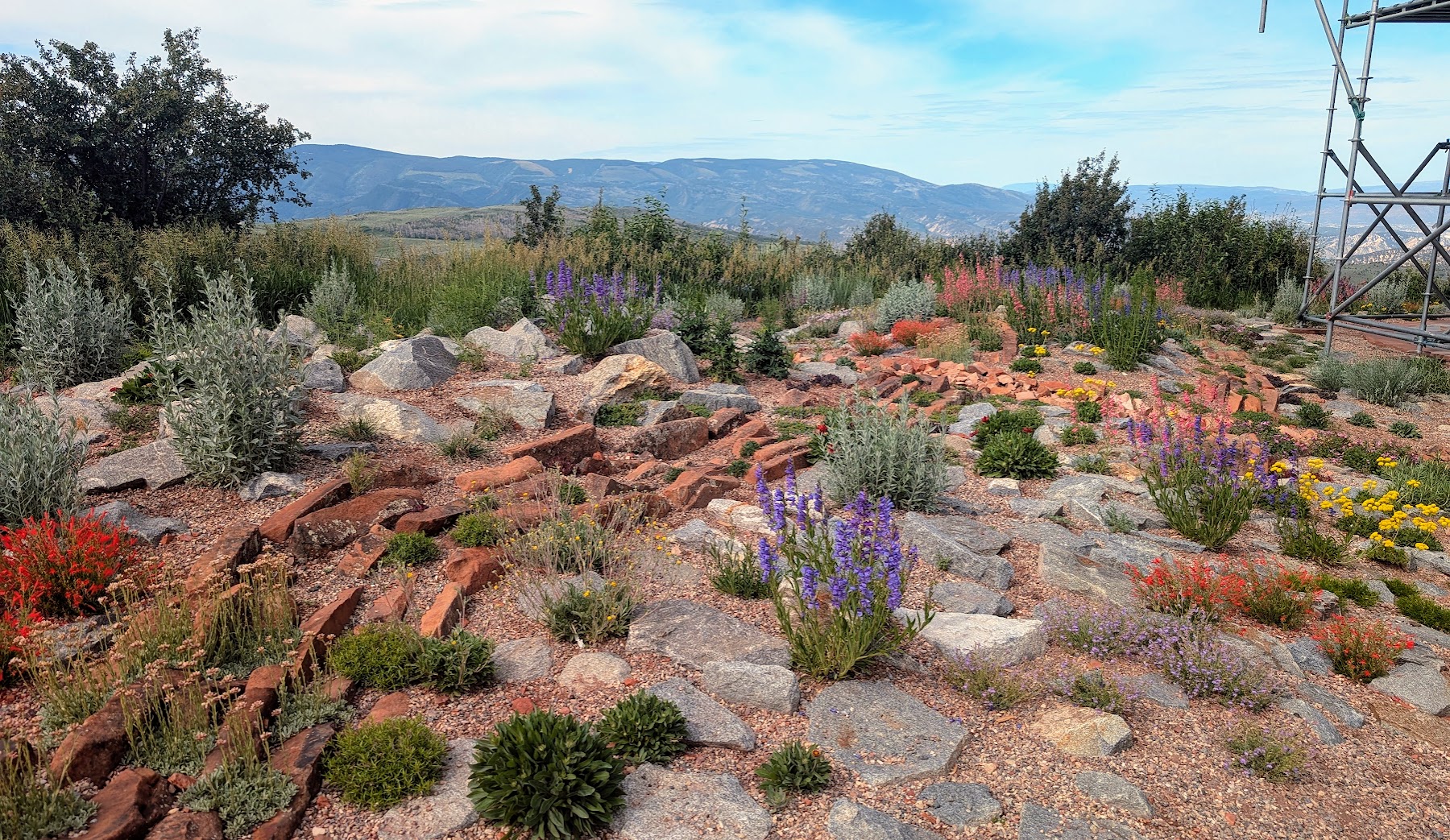 Xeriscape - Hardscape with rock and drought tolerate plants